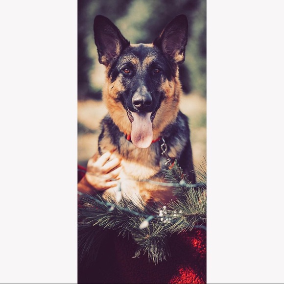 Meet your Posher, Samantha - Picture 1 of 1